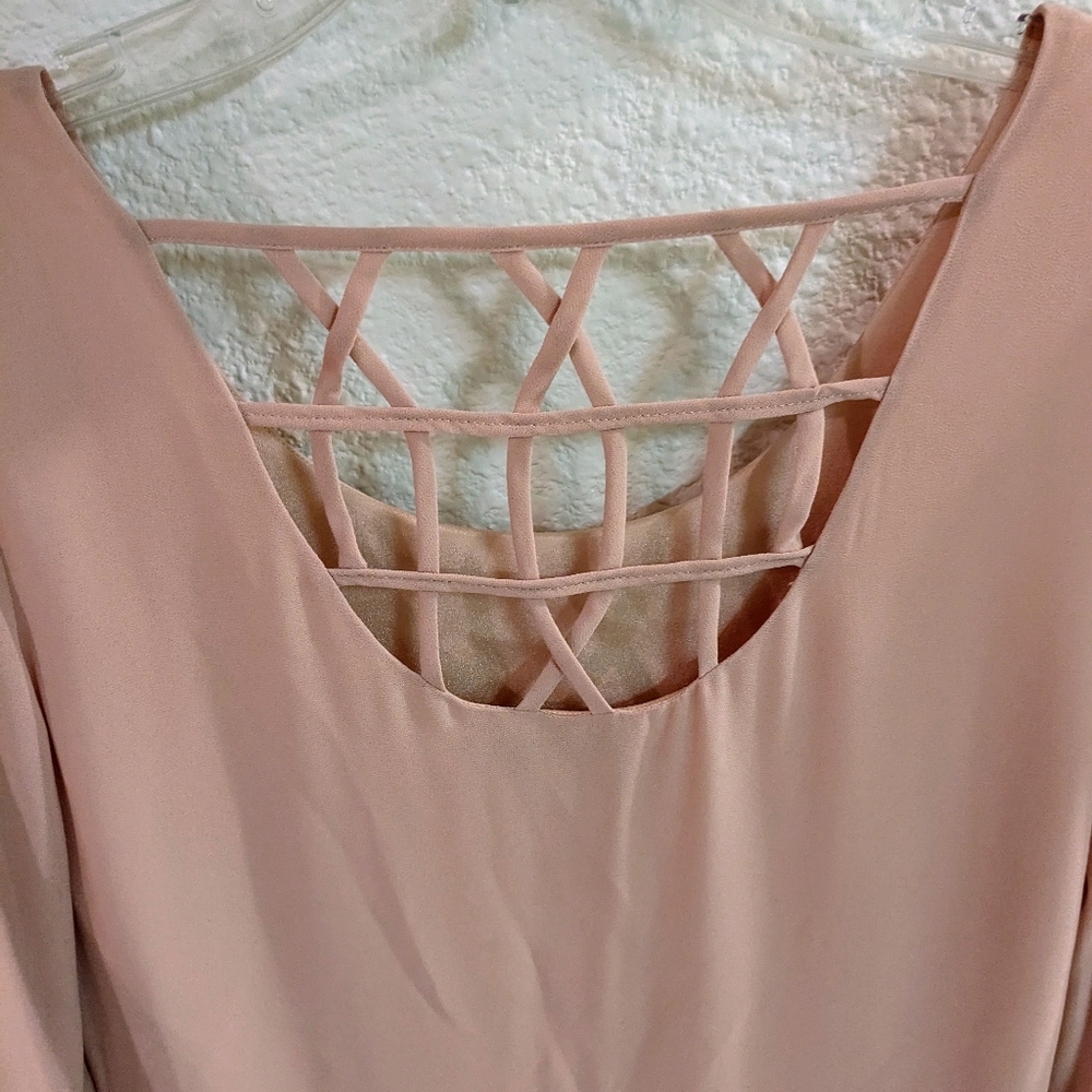 Naked Zebra Blush Pink Sheath Dress Long Sleeves Sz. S - Picture 5 of 9